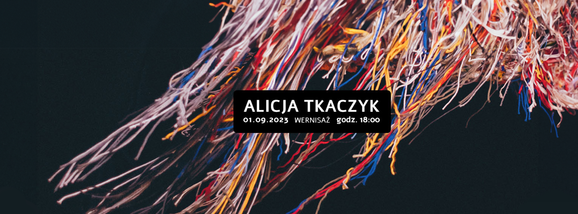 baner wystawy Alicji Tkaczyk