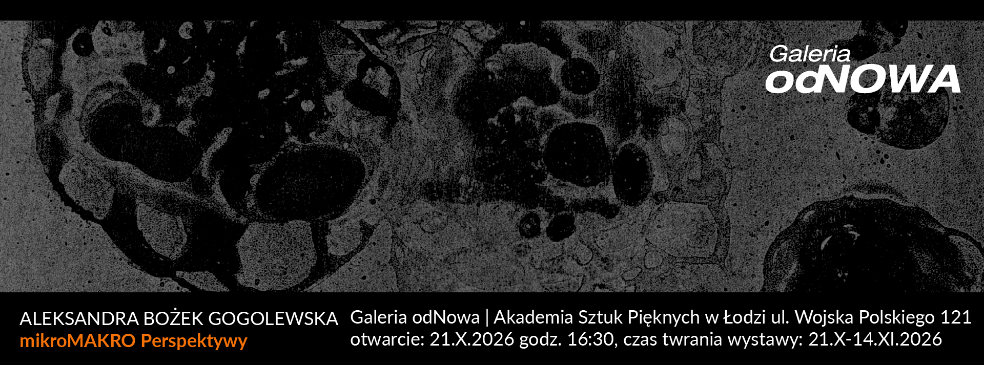 Baner wystawy mikroMAKROperspektywy. Aleksandra Bożek-Gogolewska